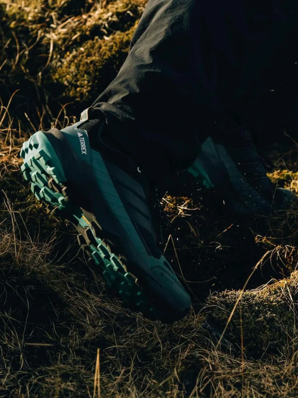 adidas Terrex adidas Terrex Skychaser AX5 GORE-TEX Hiking Trainers^ Sneakers