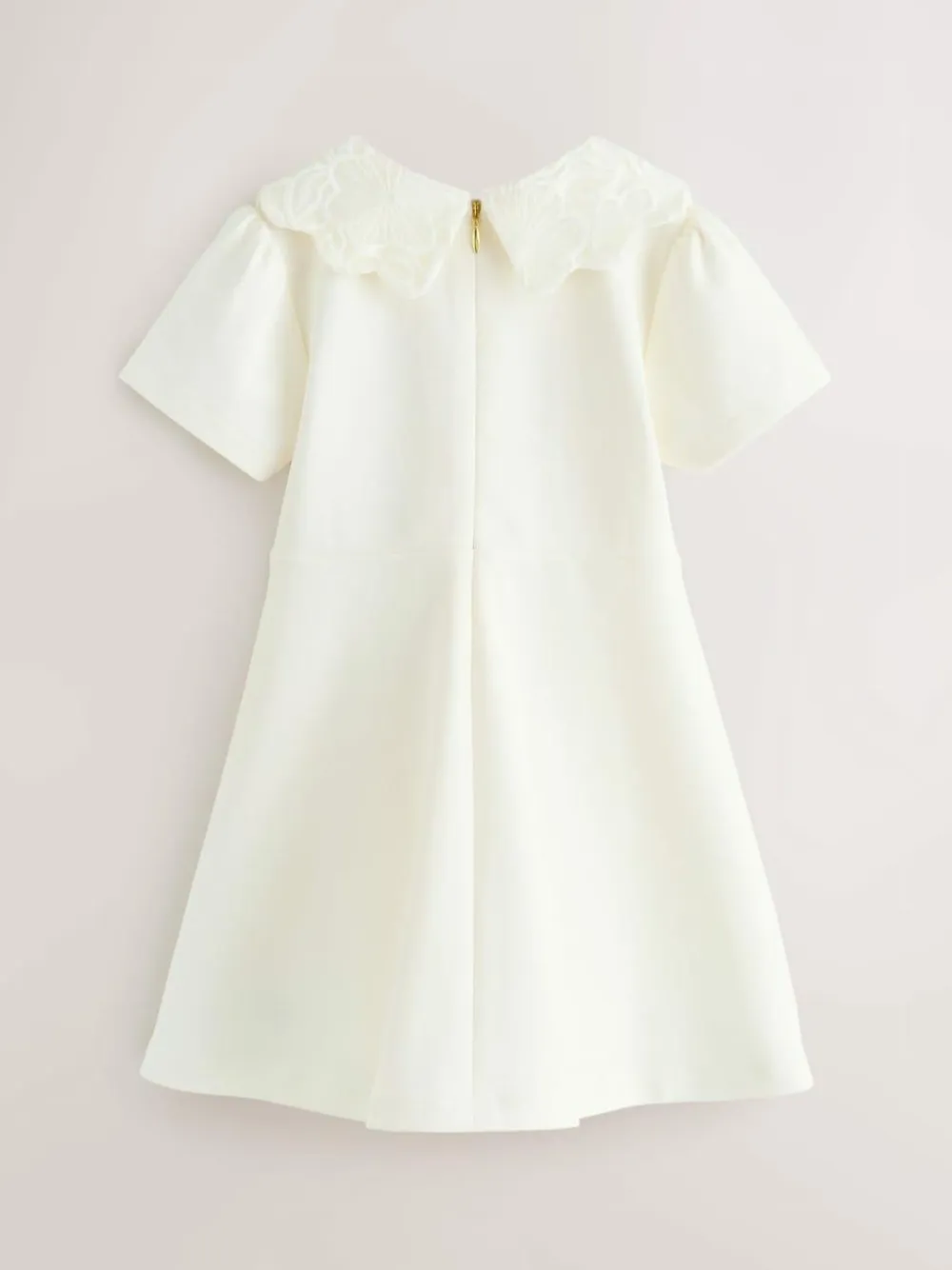 Best Baker by Ted Baker Lace Collared Ponte Dress Cream