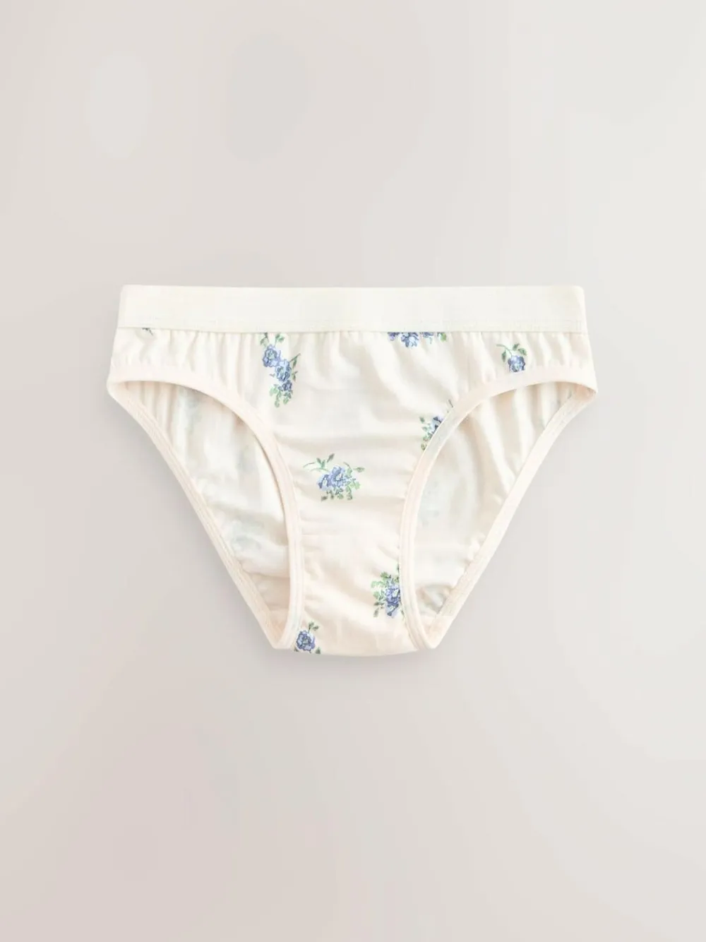Discount Next Bikini Briefs 5 Pack (1.5-16yrs) Blue