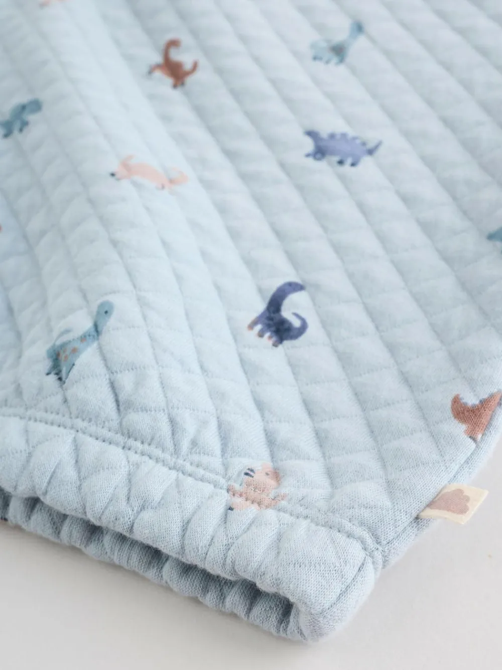 Next Blue Dinosaur Print Baby Quilted Sweat Top and Joggers Set (0mths-2yrs)
