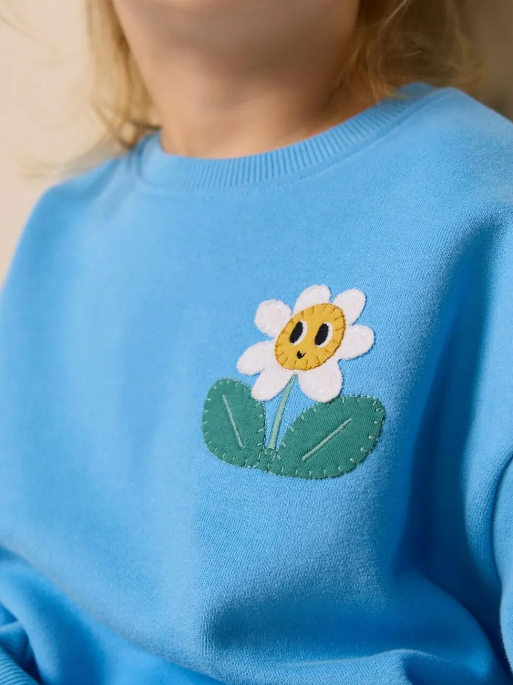 Discount Next Blue Flower Crew Neck Sweatshirt (3mths-7yrs)