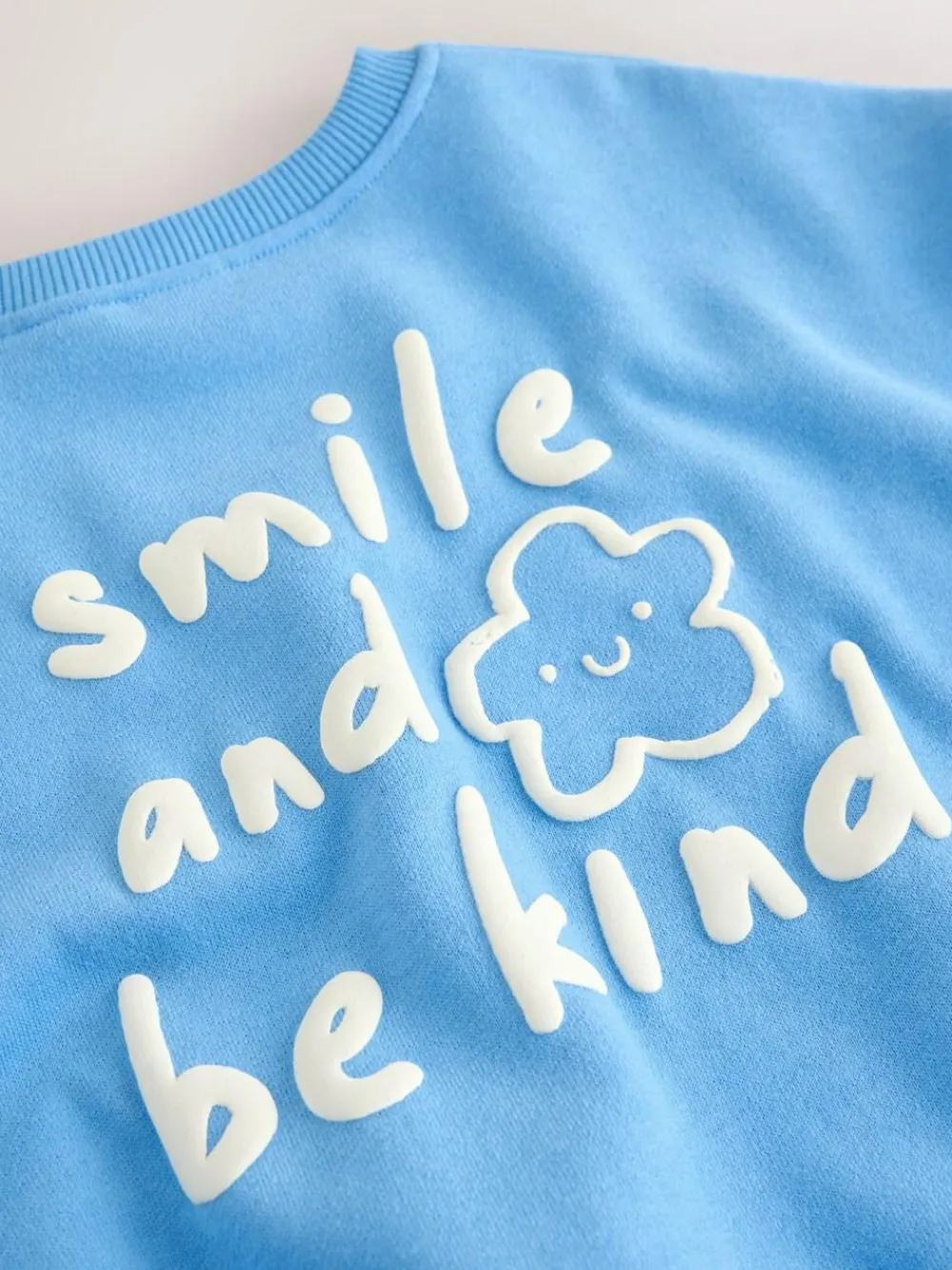 Discount Next Blue Flower Crew Neck Sweatshirt (3mths-7yrs)