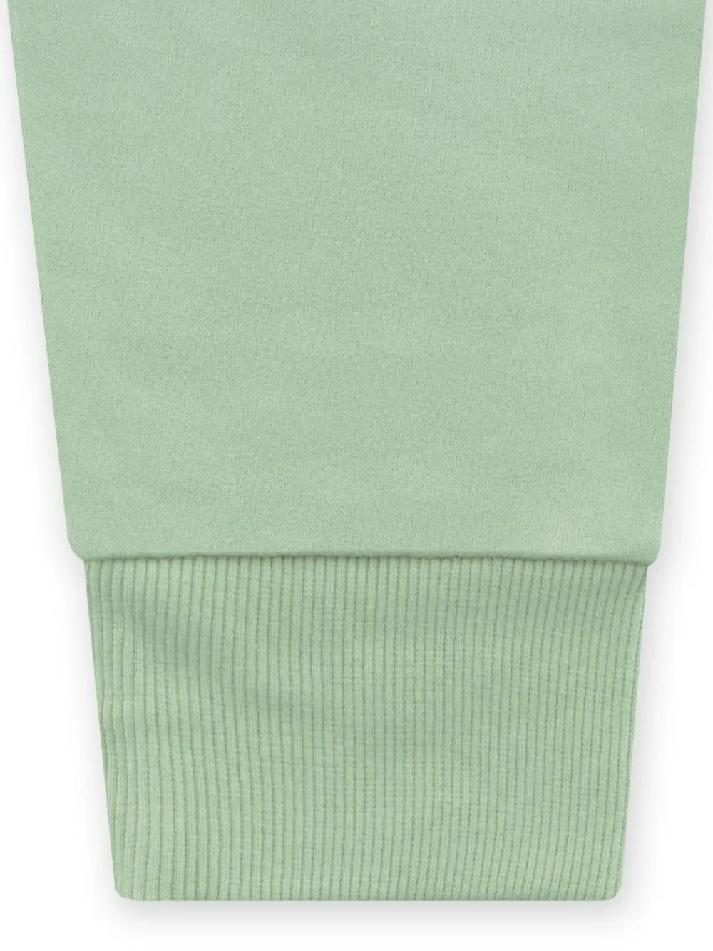 New Character Bluey Green Ladies Chilli Sweatshirt