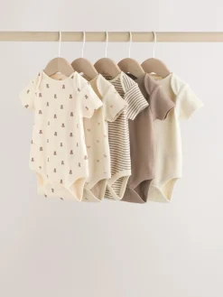 Clearance Next Brown Bear Short Sleeve Baby Bodysuits 5 Pack