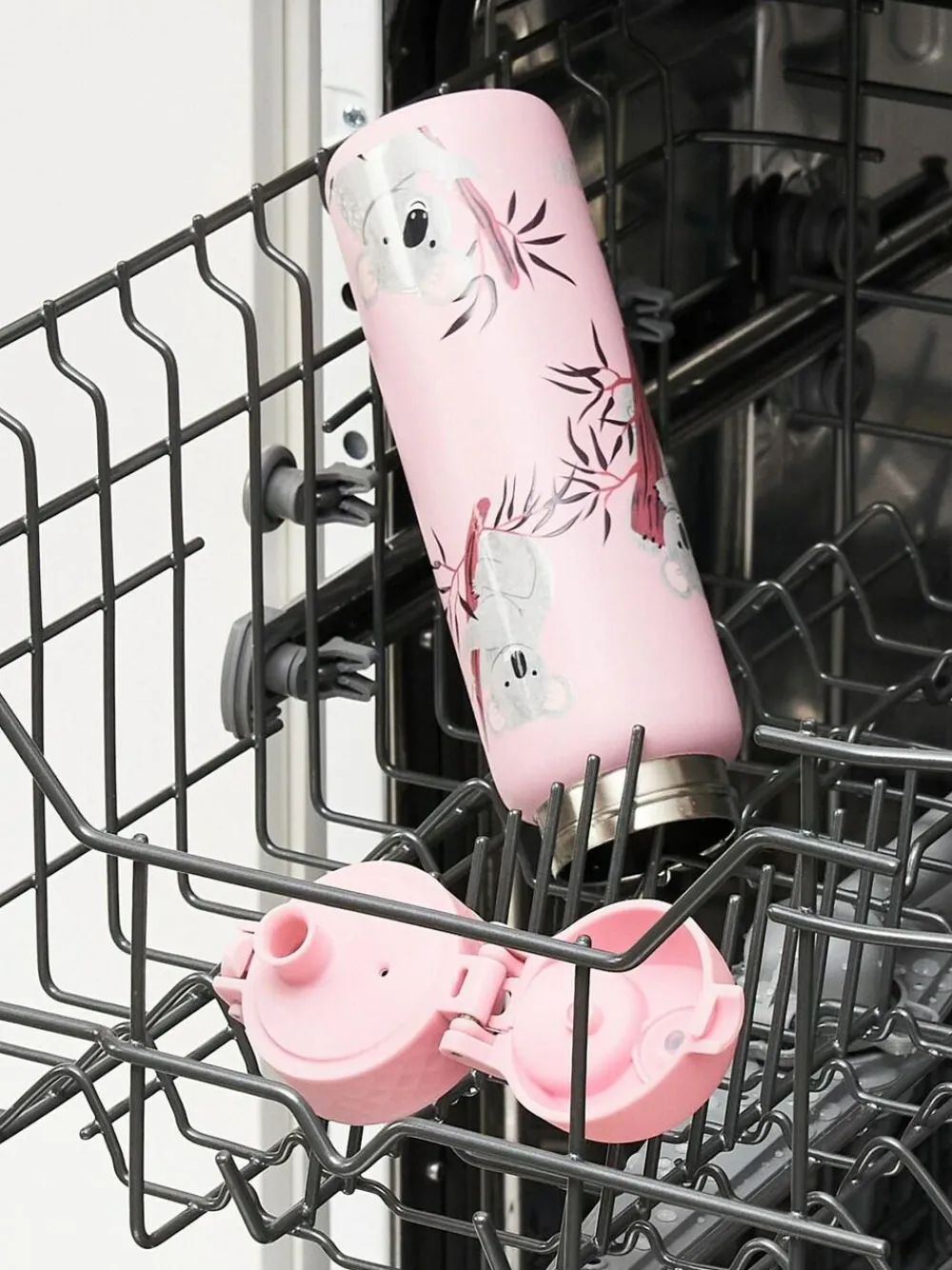 Ion8 Koala Koala 500ml Insulated Steel Water Bottle^ Branded Kitchenware
