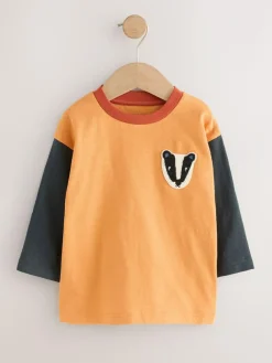 Next Long Sleeve Appliqué T-Shirts 3 Pack (3mths-7yrs)^BOY Tops|Multipacks