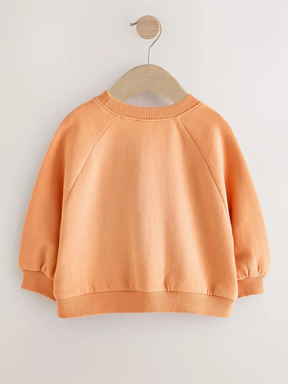 Next Orange Crew Neck Sweatshirt (3mths-7yrs)^ Sweatshirts & Hoodies|Nightwear