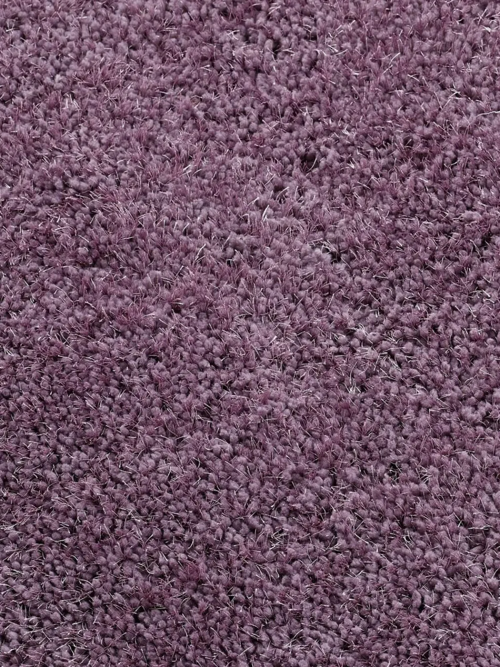 Origin Rugs Lavender Chicago Runner^ Rugs & Runners