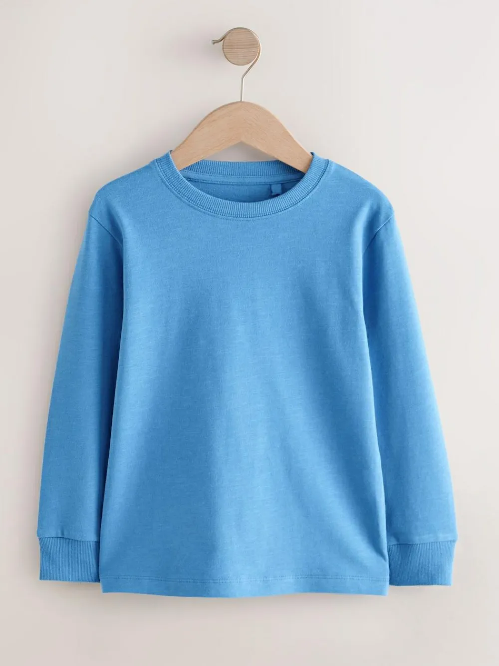 Next Pale Blue Regular Fit Long Sleeve Cosy T-Shirt (3-16yrs)^BOY Tops|T-Shirts