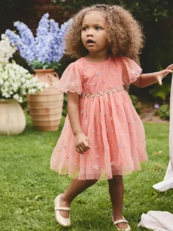 Next Embroidered Mesh Dress (3mths-8yrs)^ Dresses|Dresses