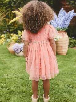 Next Embroidered Mesh Dress (3mths-8yrs)^ Dresses|Dresses