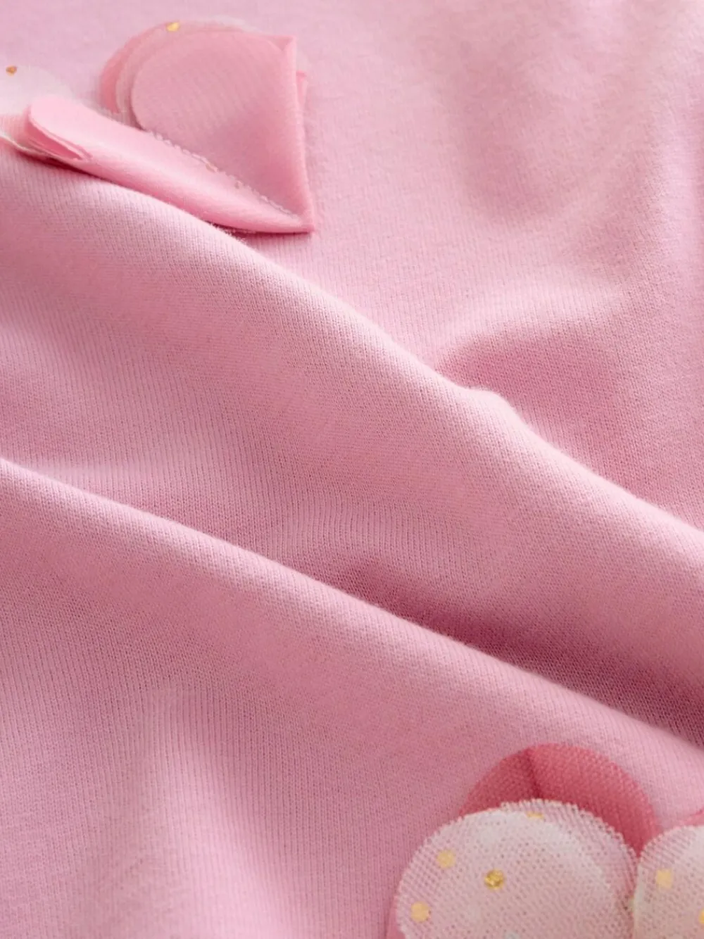 Next Long Sleeve Mesh Heart Appliqué Top (3mths-7yrs)^ Cosy Club