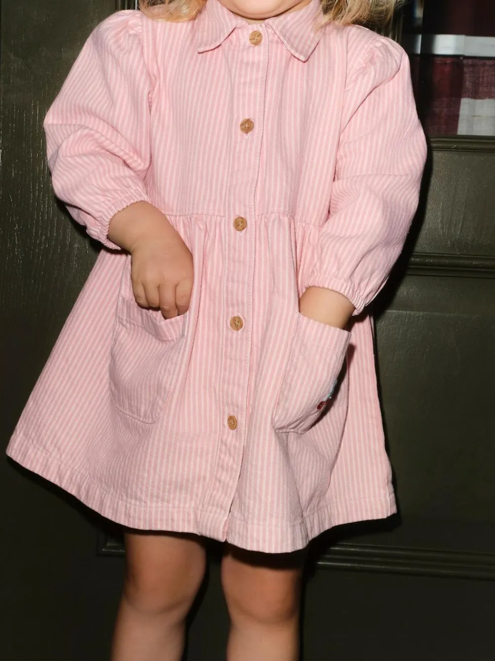 Next Long Sleeve Cotton Dress (3mths-8yrs)^ Dresses|Dresses