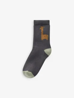 Next Safari Animals Cosy Terry Cotton Rich Socks 5 Pack^BOY Socks & Tights|Socks & Tights